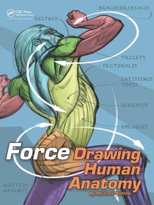 cover image of FORCE